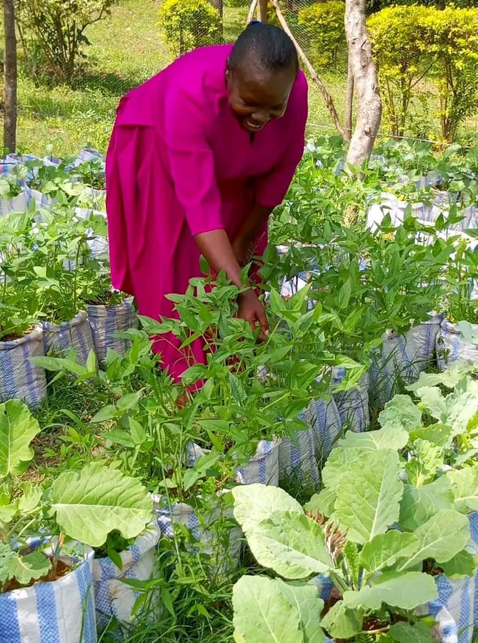 Initiative for awareness and development-IAD tweet media