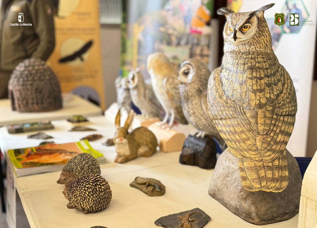AAMM_JCCM's tweet image. 🦅 La pasada semana se celebró el III Festival Comarcal de las Aves en #CorralRubio, #Higueruela y #Pétrola.

🌿 El Cuerpo de #AgentesMedioambientales de @gobjccm desarrolló actividades de #EducaciónAmbiental para todos los públicos, con material didáctico y recursos educativos.