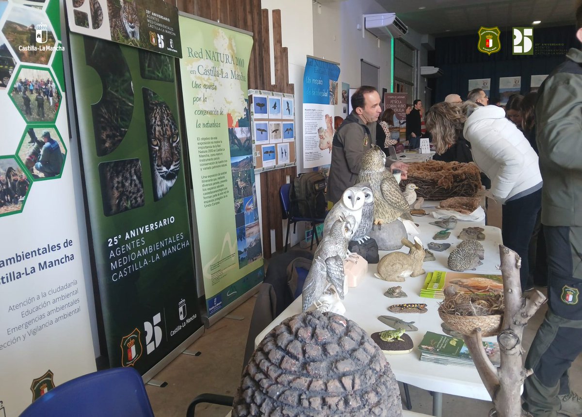AAMM_JCCM's tweet image. 🦅 La pasada semana se celebró el III Festival Comarcal de las Aves en #CorralRubio, #Higueruela y #Pétrola.

🌿 El Cuerpo de #AgentesMedioambientales de @gobjccm desarrolló actividades de #EducaciónAmbiental para todos los públicos, con material didáctico y recursos educativos.