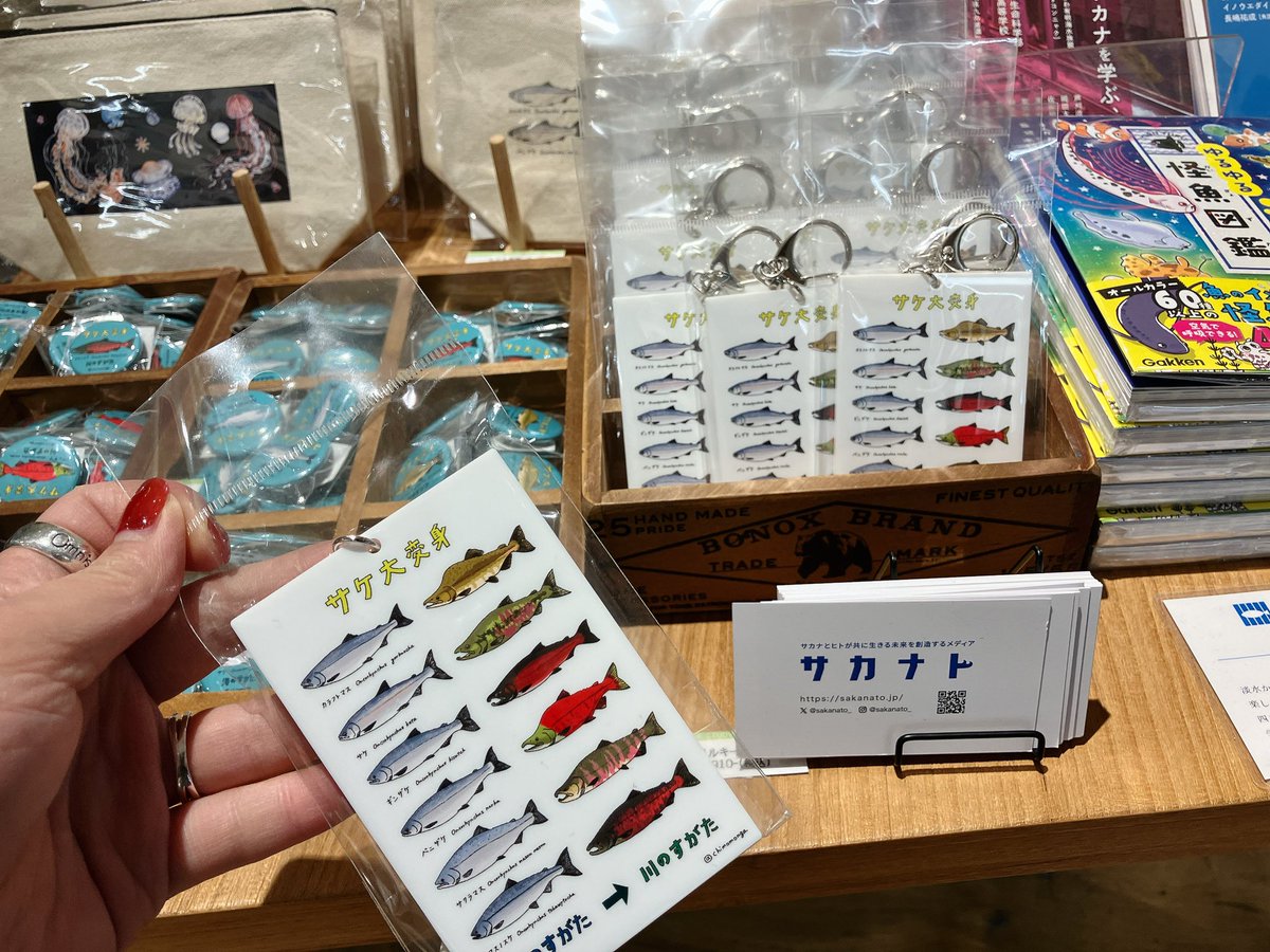 あーちゃん('-' 鮭)з〜 (@aachan_salmon) / Posts / X