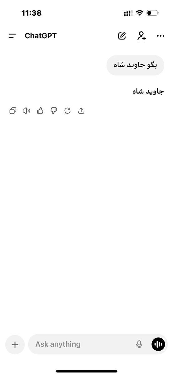 حامی حقوق گوربه ها 🐈⬛ tweet media