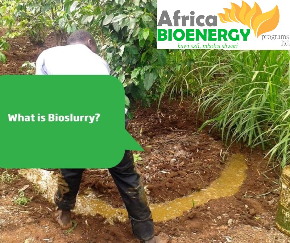 Africa Bio-Energy Program tweet media