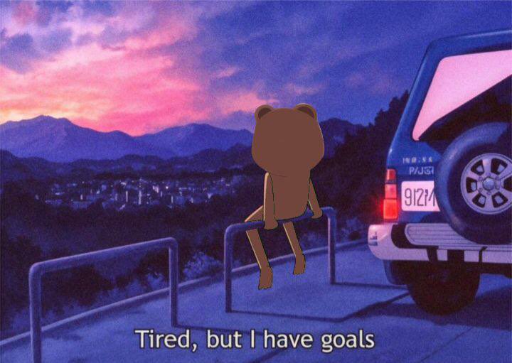 steady teddys tweet media