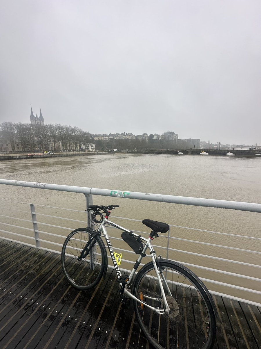 Quand tu n’as pas de voiture, que ton tram est à l’arrêt, ne reste plus que le vélo ou la marche, demain je tente à la nage ? 🫢 #Angers #Inondations
