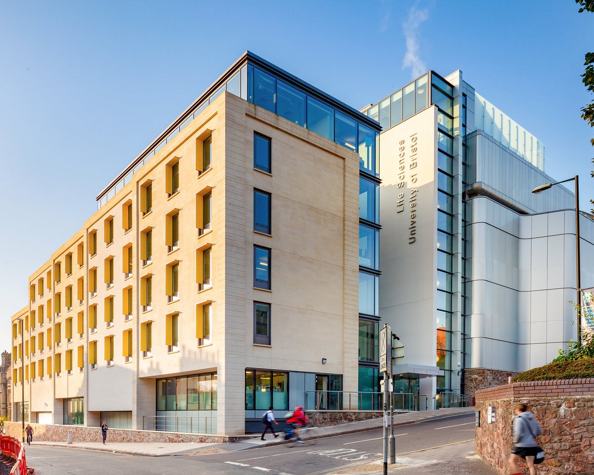 Christos Ioannou tweet media