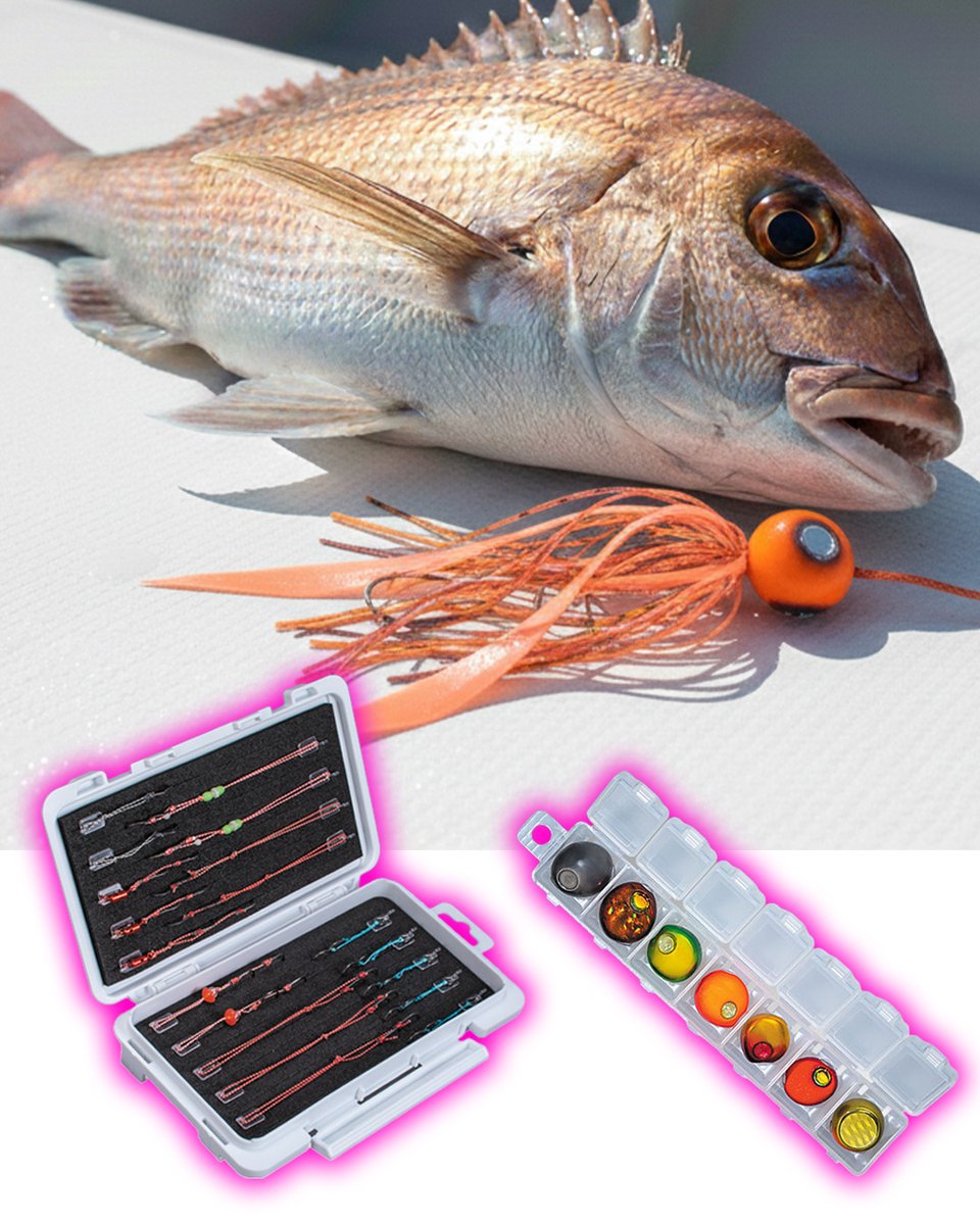 春の「桜ダイ」シーズン到来！釣果に直結するMEIHOのタイラバ収納術を