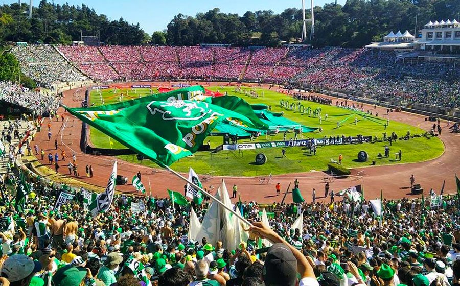 Sporting CP Pictures That Go Hard tweet media