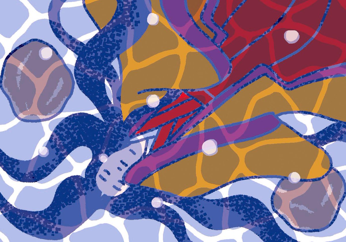 クボトモコ_3/8のZINEフェス東京 (@tomocco1) / Posts / X