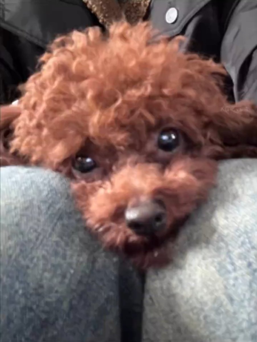 สำเนาถูกถูกต้อง✅