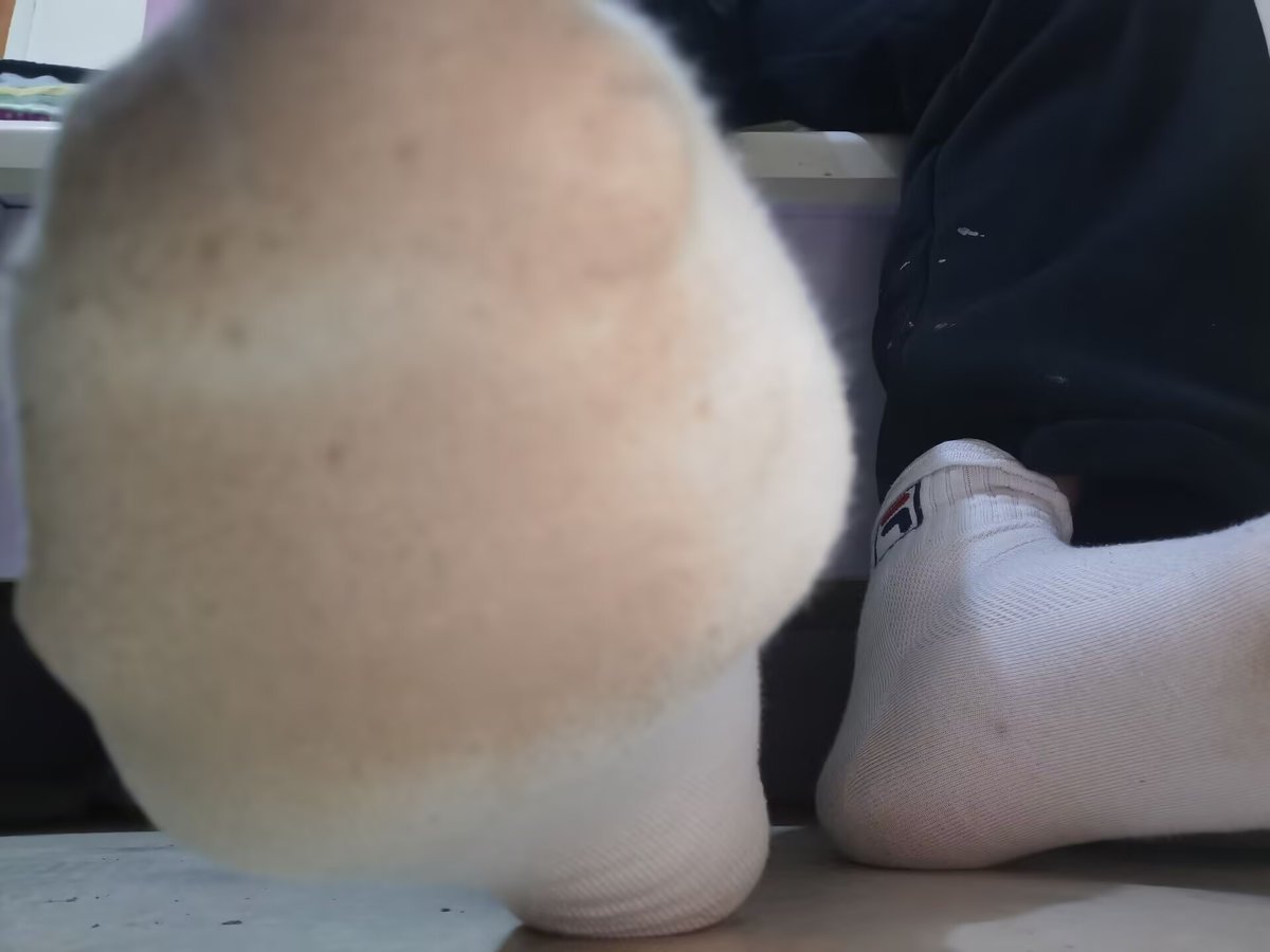 初中直男爹S tweet media