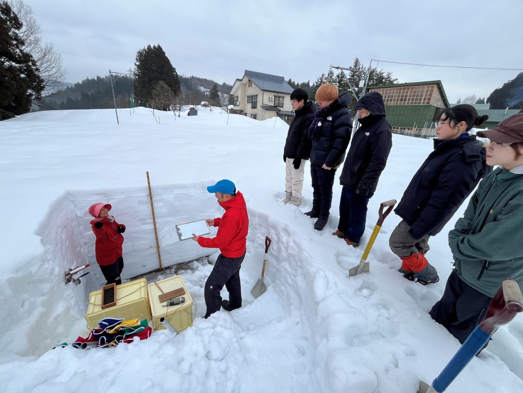 RisshoMet's tweet photo. 【十日町試験地 見学レポ②】
積もった雪って、実は“層”になってるの知ってますか？☃️
雪の断面観測を見学！
層の違いがはっきり見えて、「雪ってこんなに情報を持ってるのか…」と驚きました。
しまり雪やざらめ雪など、雪質の変化が観察できて面白い…！
（この積雪でもだいぶ減ったらしい😂） https://t.co/DM2e6T4li1