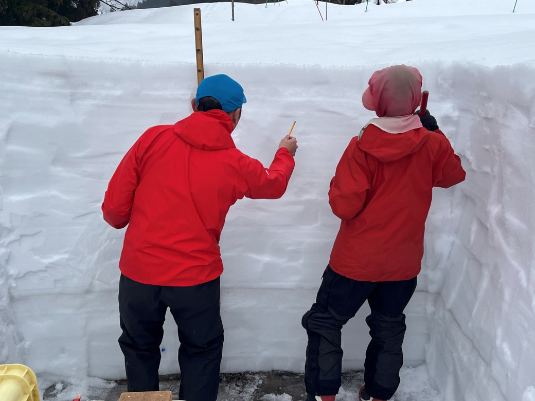 RisshoMet's tweet photo. 【十日町試験地 見学レポ②】
積もった雪って、実は“層”になってるの知ってますか？☃️
雪の断面観測を見学！
層の違いがはっきり見えて、「雪ってこんなに情報を持ってるのか…」と驚きました。
しまり雪やざらめ雪など、雪質の変化が観察できて面白い…！
（この積雪でもだいぶ減ったらしい😂） https://t.co/DM2e6T4li1
