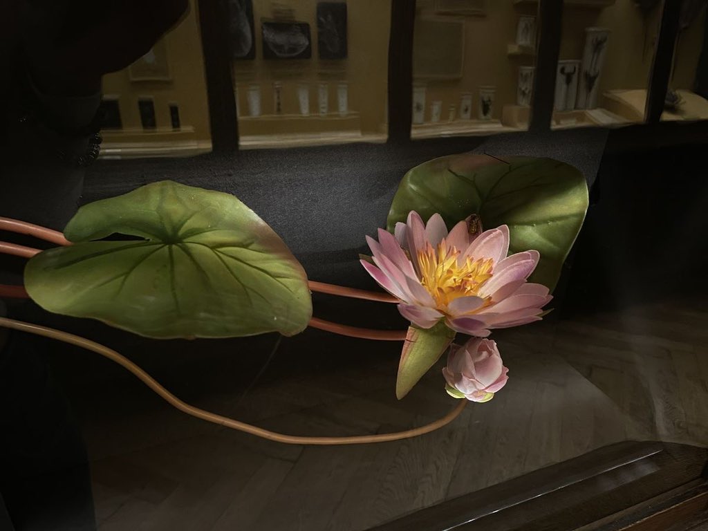 Flowers Community on X - 139.5K Members