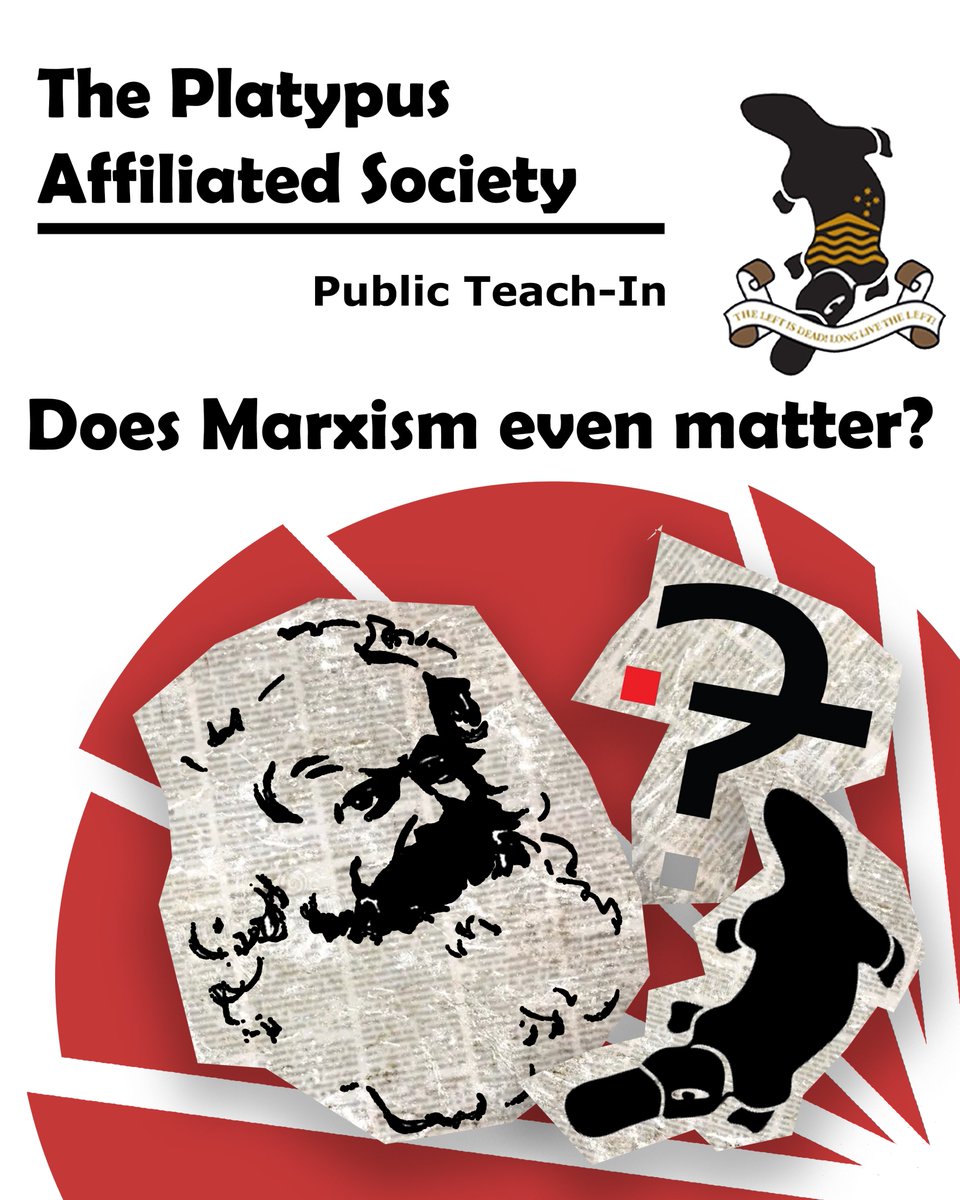 Platypus Melbourne tweet media