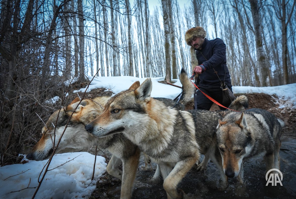 Aytaç Ünal tweet media