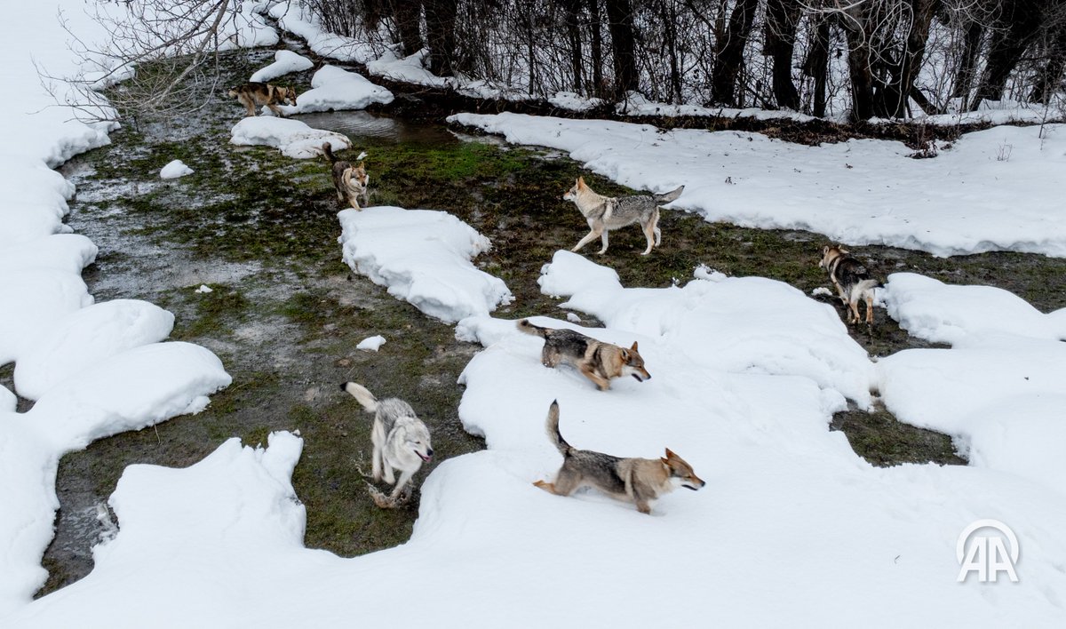Aytaç Ünal tweet media