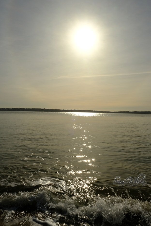 SamWlandscapes's tweet image. Hazy sunshine on the beach #beachday #beachphotography #Hampshire
