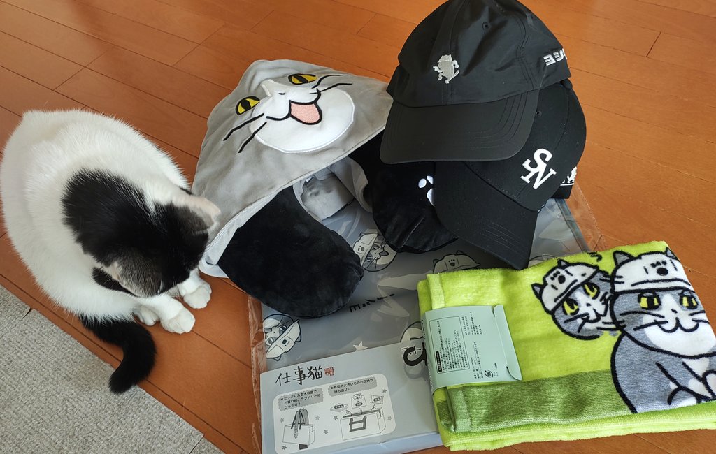 猫の日が近付くと仕事猫グッズがいっぱい出るので散財を避けられない…！！帽子は1種だけにしようと思ってたんだけど素材が違うので結局2種ともカゴにin
タオルは全種欲しかったけど厳選しました😉