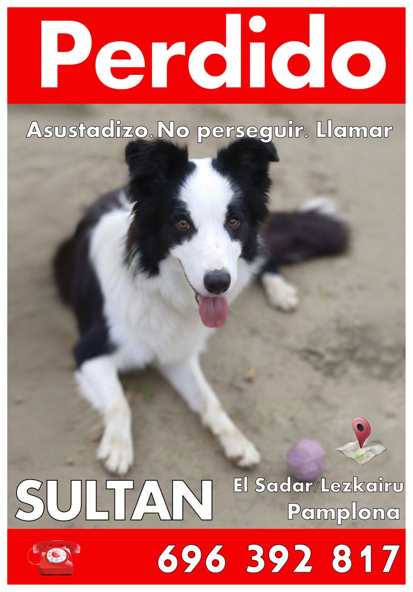 Me llamo Rubén tweet media