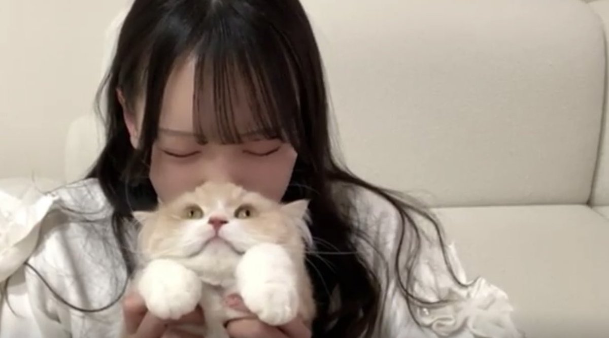 せい🍪 tweet media