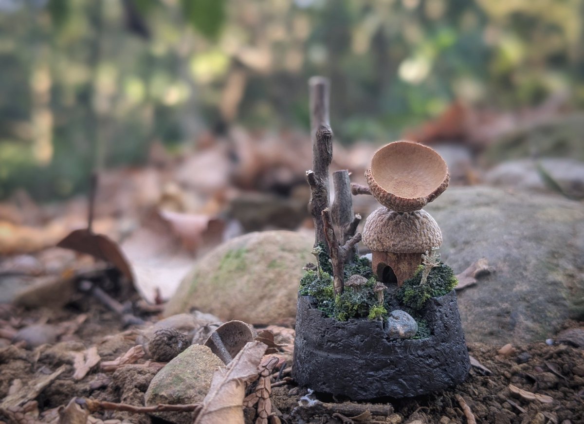 【次回出展】
今週末は渋谷で出展です。天気は大丈夫そうかな‥‥？暖かくなってるといいな。お近くの方は立ち寄っていただけると嬉しいです。

🌳渋谷蚤の市🌳
日時：2/22(日) 10:00〜16:00
場所：渋谷ガーデンタワー　屋外広場
#渋谷蚤の市