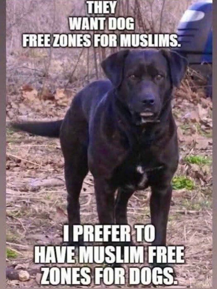 TaraBull tweet media