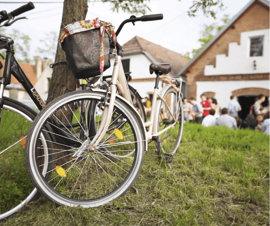 zlinnews's tweet photo. 25. dubna 2026 se symbolicky ODEMYKAJÍ Moravské vinařské stezky. Oslava vína a pohybu spojí cyklisty a vinaře v Uherském Hradišti. Přijďte OCHUTNÁVAT vína a užít si atmosféru!
https://t.co/t9jUM71GR0 https://t.co/Sf37C82Sqg