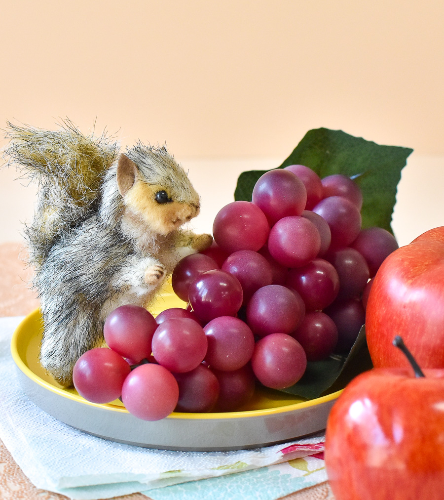 HANSA_CANAL's tweet photo. ぶどうに夢中のハイイロリスちゃん🍇
お皿の上にちょっこり ミニサイズです🐿️
キーリング付きでどこでも一緒✨

［6465］キーチェーン ハイイロリス ￥2,200（税込）
https://t.co/43mgaC7qHd

#HANSA #ハンサ #ぬいぐるみ https://t.co/6XySJJznSz