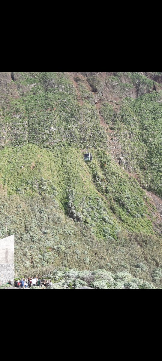 DF93201's tweet photo. #GoodMorningXFriends in the #5amwritersclub & #earlyrisersclub π Well for a man who doesn't like heights, I conquered my fears yesterday in #Maderia on one of the steepest cable car rides in the world ππ After #morningcoffee βοΈ my feet are staying on the ground today ππ«Ά https://t.co/ldnzXTNWrL