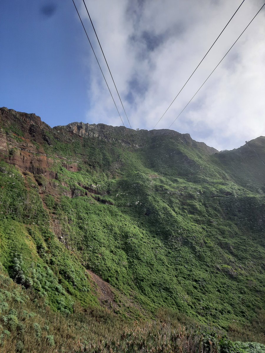 DF93201's tweet photo. #GoodMorningXFriends in the #5amwritersclub & #earlyrisersclub π Well for a man who doesn't like heights, I conquered my fears yesterday in #Maderia on one of the steepest cable car rides in the world ππ After #morningcoffee βοΈ my feet are staying on the ground today ππ«Ά https://t.co/ldnzXTNWrL