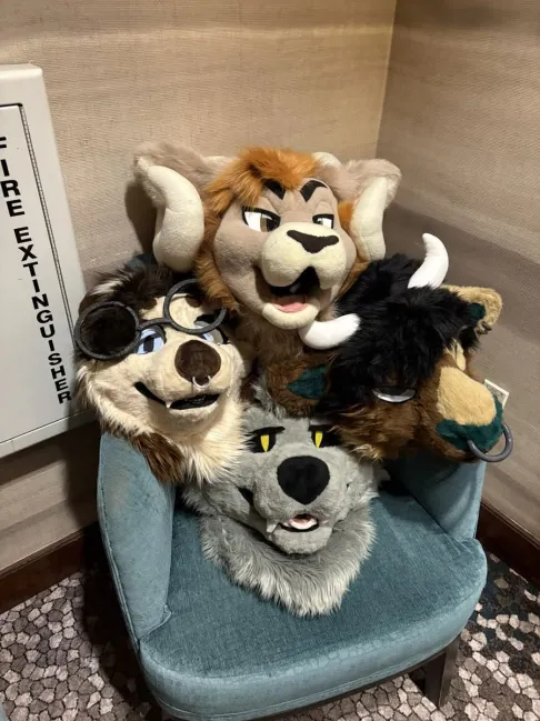 kavipaws tweet media