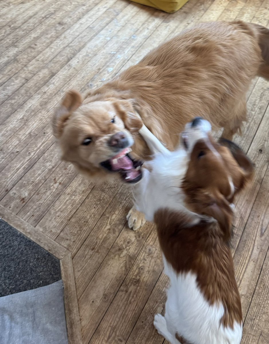 空 (@wp39pshutdzryju) on Twitter photo 