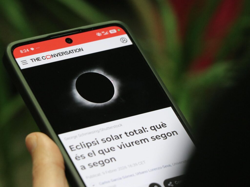 Universitat Rovira i Virgili tweet media