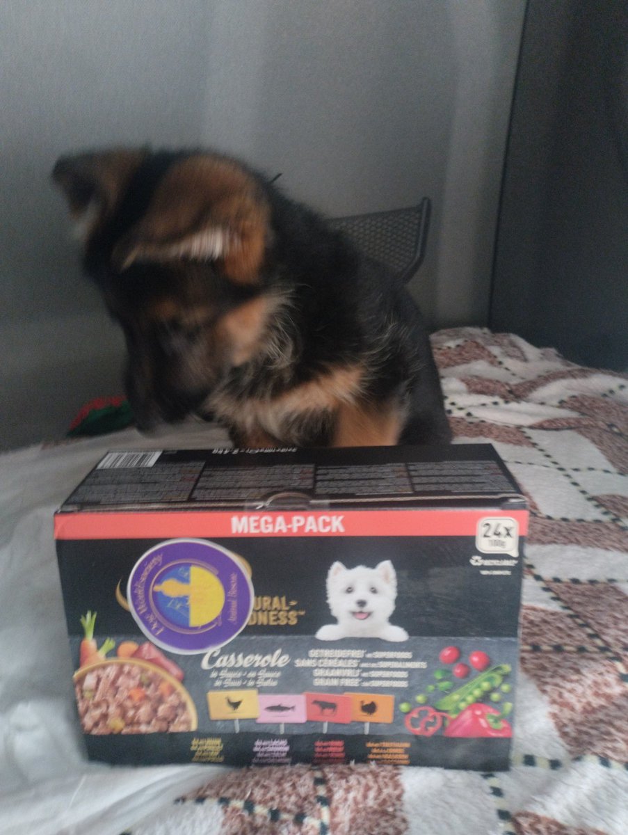 In the last 2 days I received 11$ and that's good, but please support our fundraising, there are very few retweets and quotes. Now it's difficult for us because of additional family circumstances. Help save the animals.

✅548$
🆘952$
🎯1500$
🅿️🅿️valeriagolovanova93@gmail.com