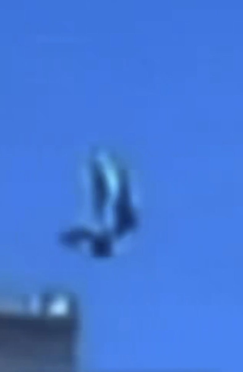 Inquisitorian🍸 tweet media