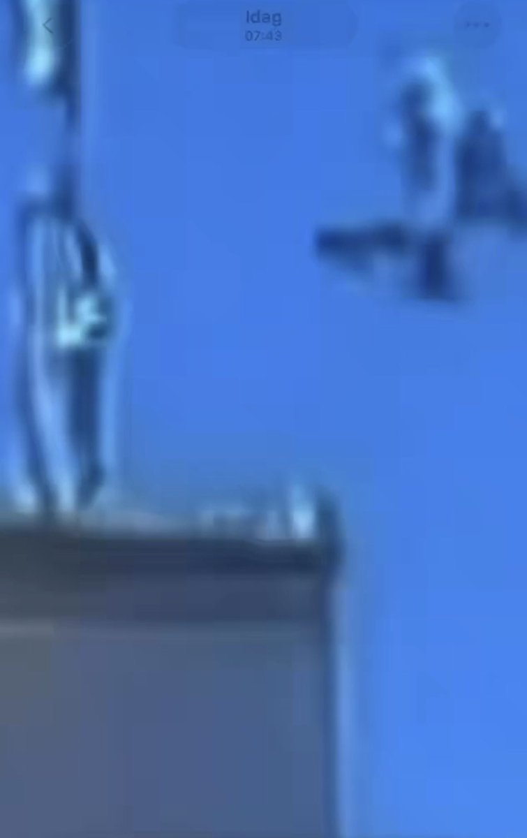 Inquisitorian🍸 tweet media