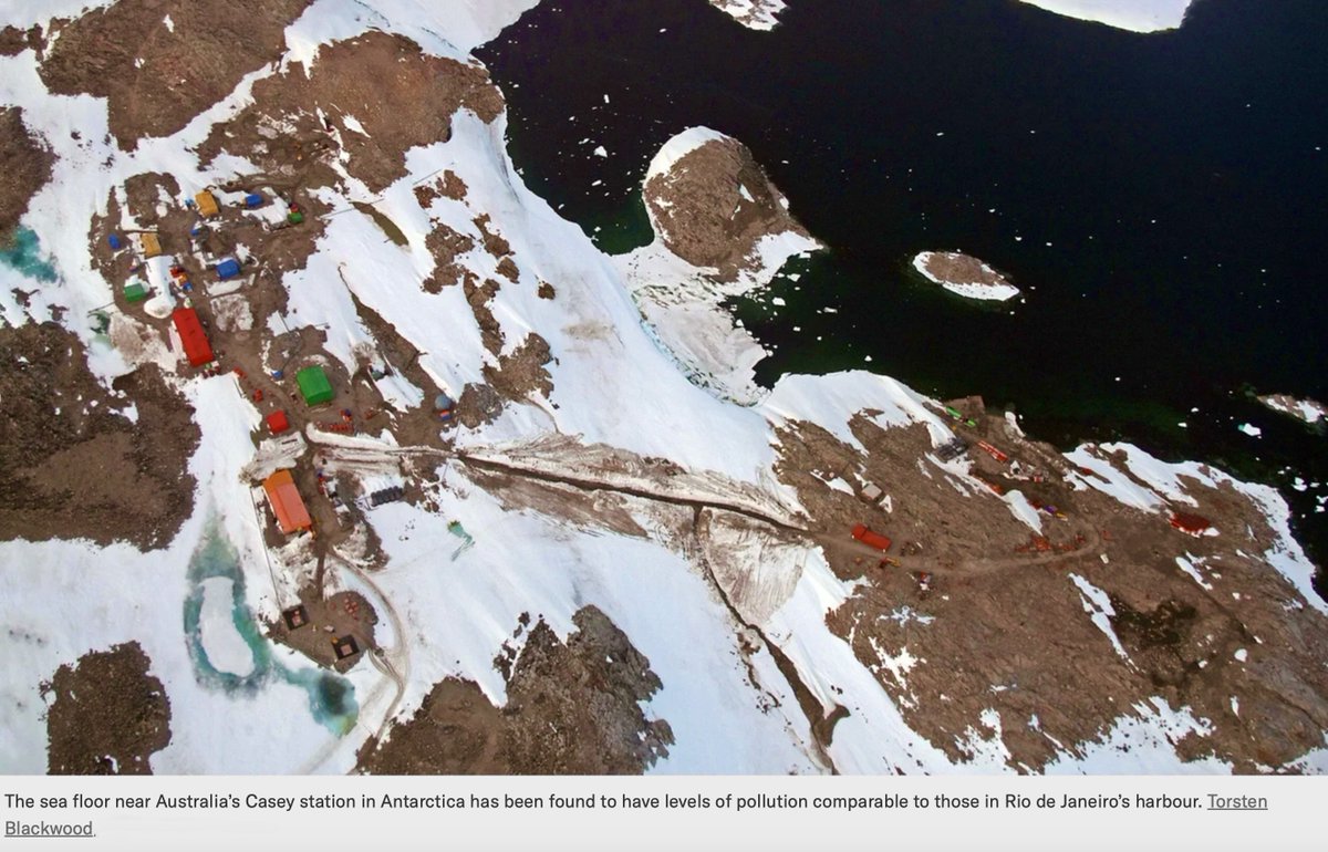 <a href="/WriterHannahBT/">Hannah Bourne-Taylor</a> <a href="/GeorginaMangan4/">Georgie #pigoneer 🐖🐽🌱 close all sea 🌎 🐬🐋🦈🐳</a> I agree, Hannah, and there are already more than 100 research stations or facilities in Antarctica where they compete with wildlife for ice-free land.

We pollute and disturb there all the time.