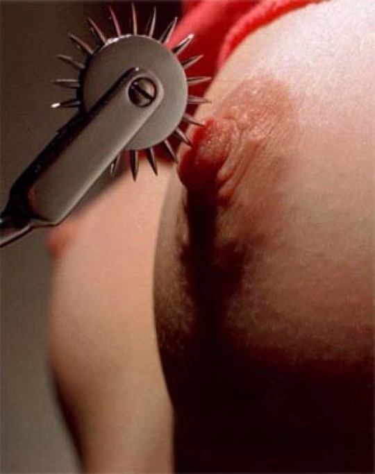 SIGNORE FOREST (@signoreforest) on Twitter photo 