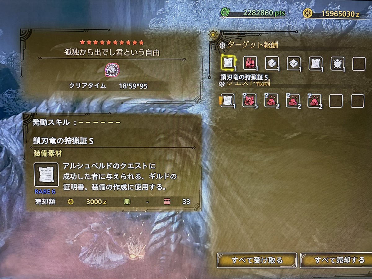 歴戦王アルシュベルド初見ソロ
(2乙した)