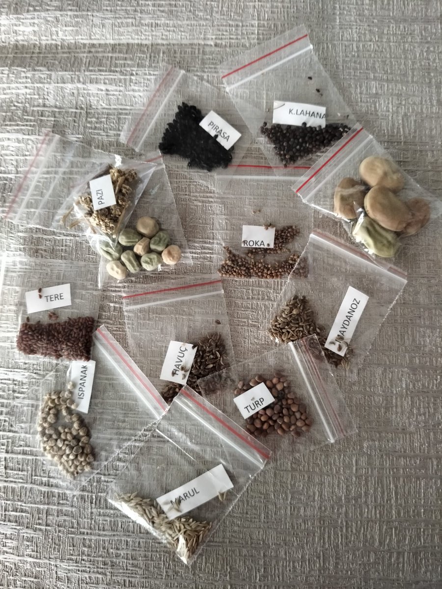 Zeynel Abidin Oruç tweet media