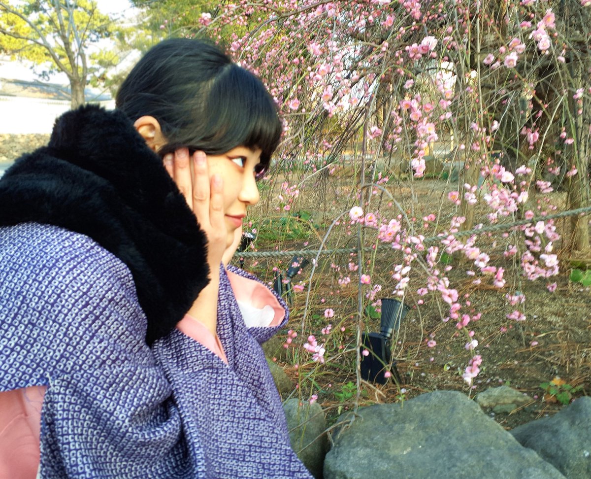 tiel46119's tweet photo. 梅の花と清様🌸
可愛すぎて目が幸せでした( *´꒫`)
#小倉城
#小倉城武将隊
#清 https://t.co/4mV1OMJxvc