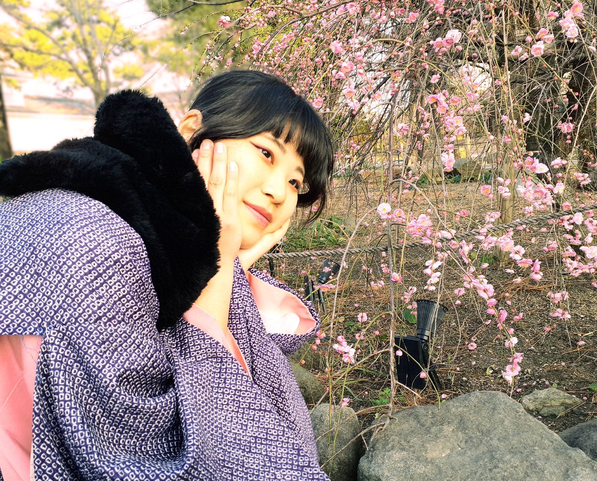 tiel46119's tweet photo. 梅の花と清様🌸
可愛すぎて目が幸せでした( *´꒫`)
#小倉城
#小倉城武将隊
#清 https://t.co/4mV1OMJxvc
