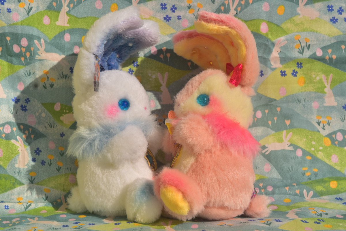 スウィートタイムだよ❤️ #ぬい撮り #ぬい活 #rabbit #ユメミルうさぎ