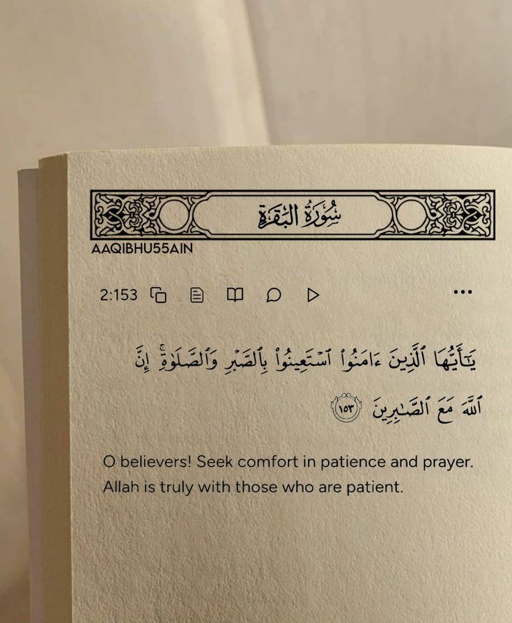 MuslimsMatters's tweet photo. Verse of the day. https://t.co/0TJnOQbMGh