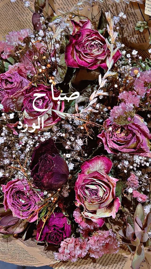 abeer22xx's tweet photo. اللهم  إجعل  صباحـنــا  مليئاً 
بــالخيرات .. بعيداً عن العثرات 💙
#صباح__الخير https://t.co/yl019BihqN
