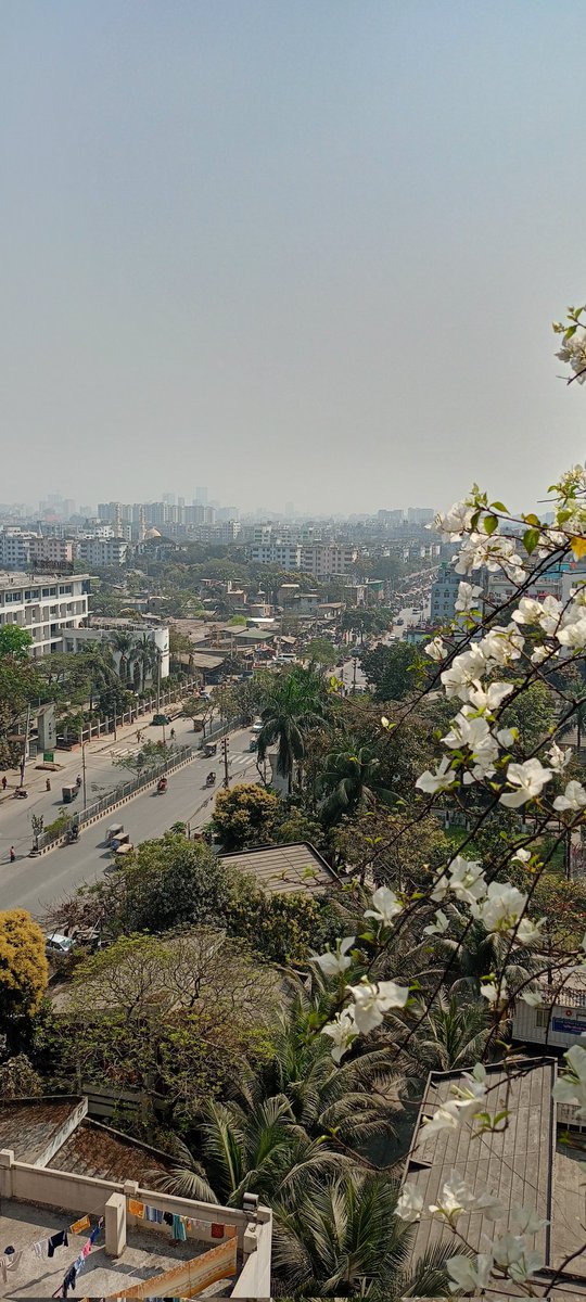 How lovely the silence is!