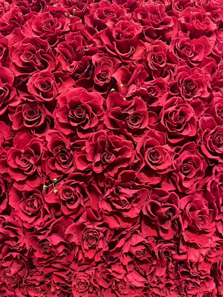 むちちゃん。🍮 (@muchi_chan_) / Posts / X