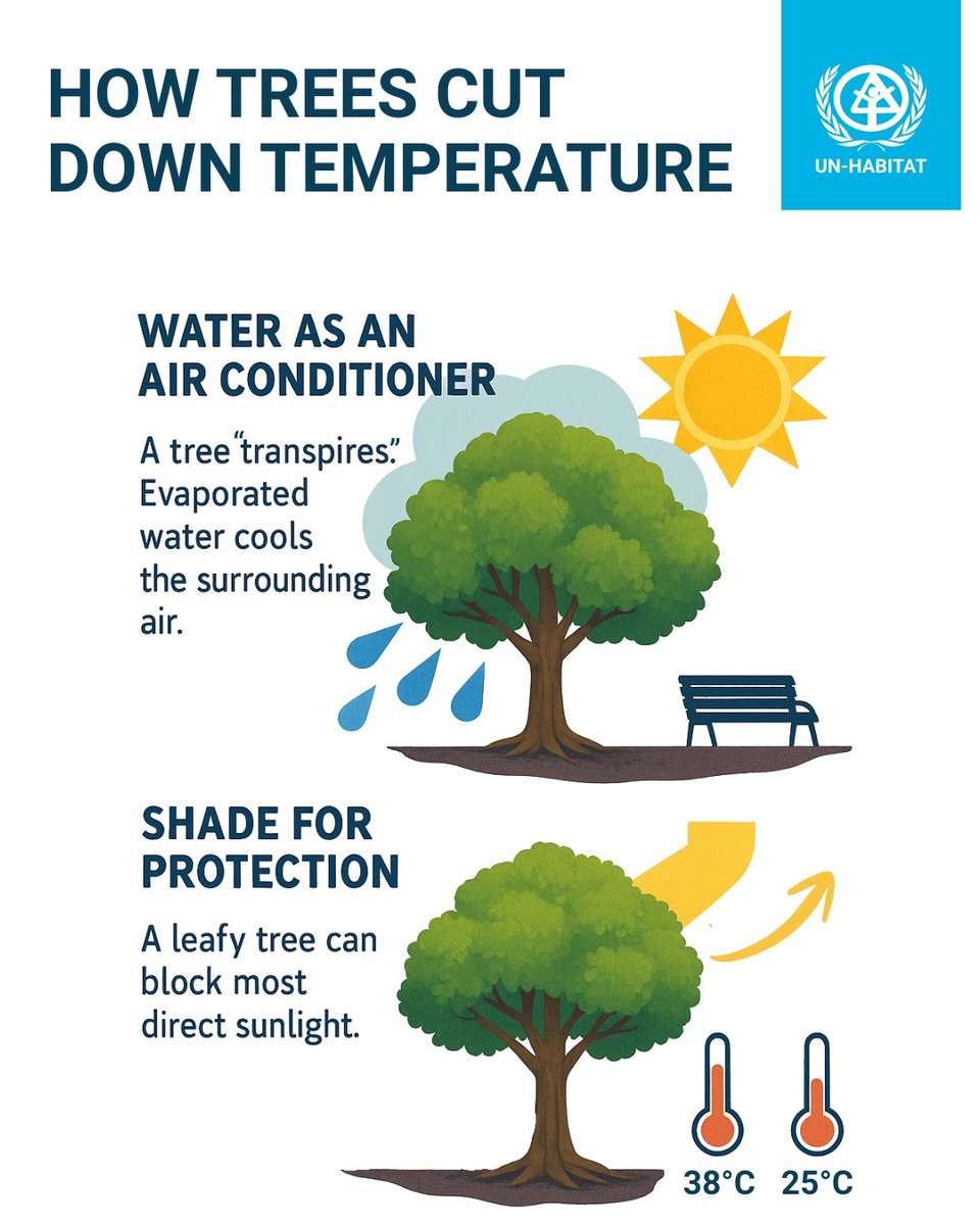 UN-Habitat tweet media