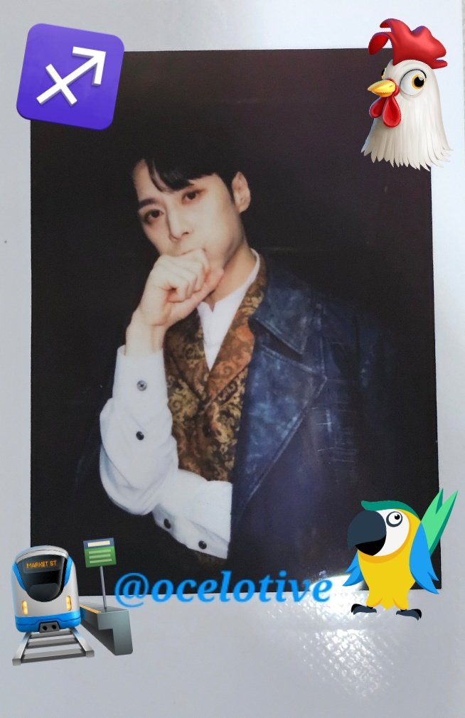 하프새잡이~~~!!!