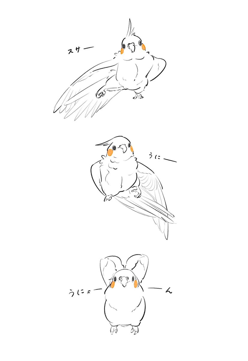 チルファ (@chilfa_112) on Twitter photo 